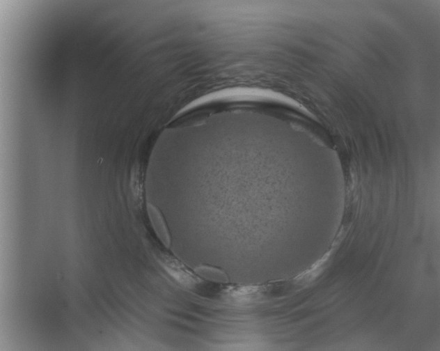 X0000072960186200607282305