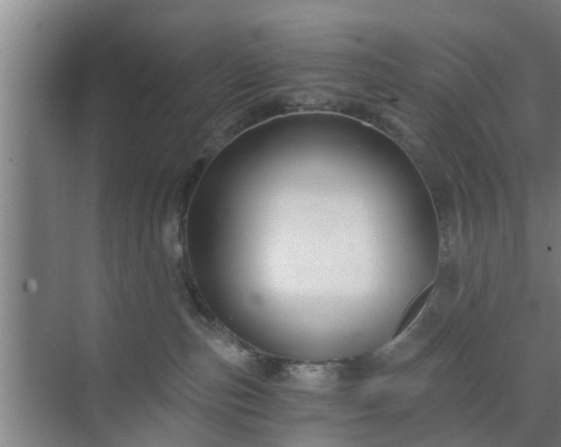 X0000072960187200607282305