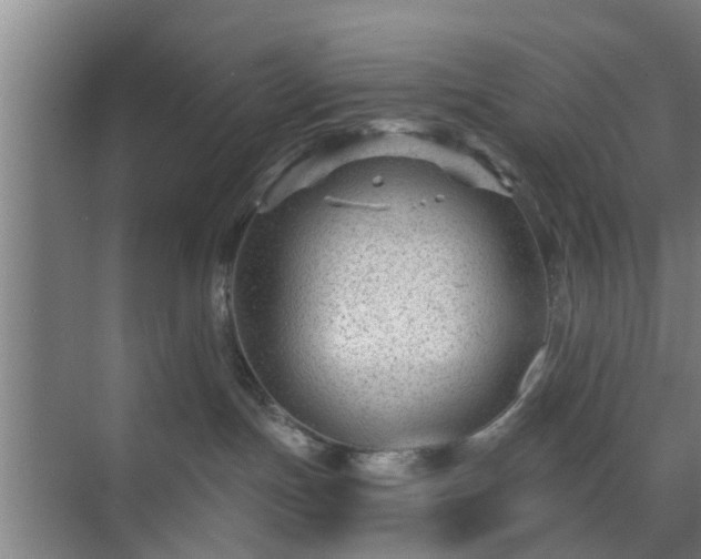 X0000072960191200607282305