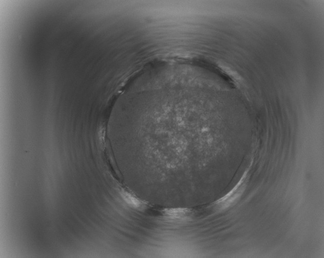 X0000072960192200607282305