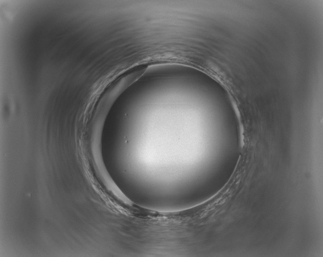 X0000072960193200607282305