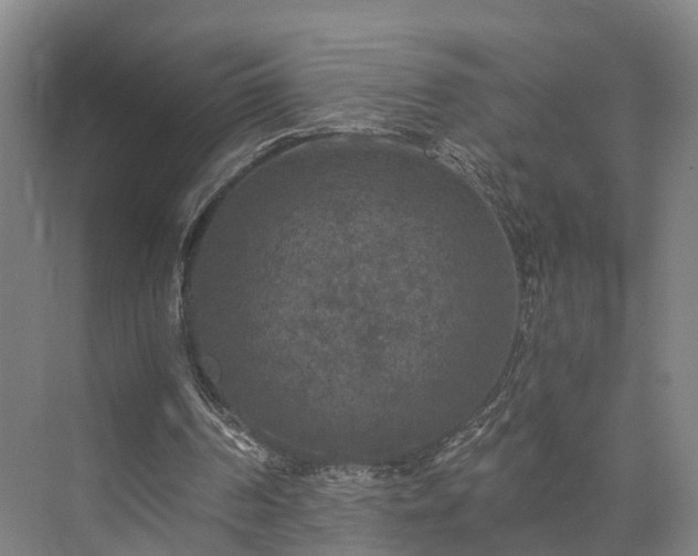 X0000072960194200607282305