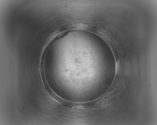 X0000072960195200607282305