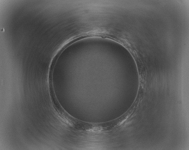 X0000072960196200607282305