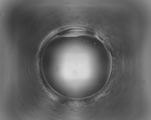 X0000072960197200607282305