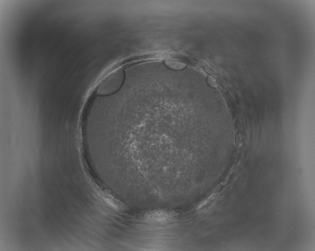 X0000072960198200607282305