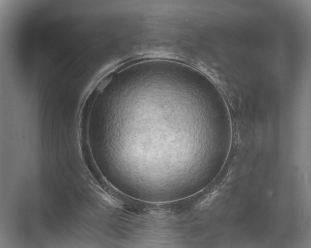 X0000072960199200607282304