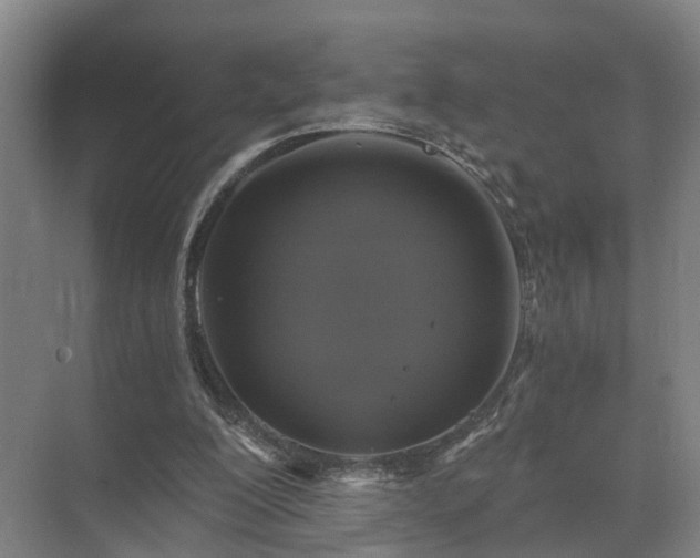 X0000072960200200607282304