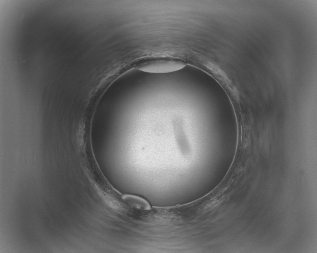 X0000072960201200607282304