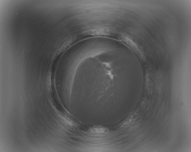 X0000072960202200607282304