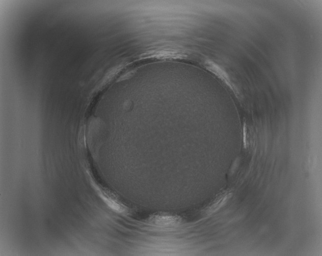 X0000072960205200607282304