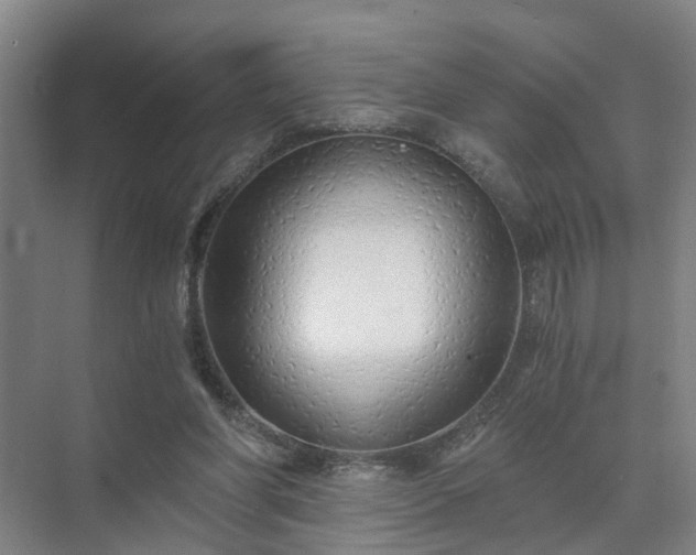 X0000072960206200607282304