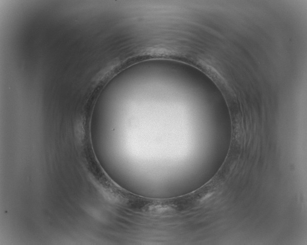 X0000072960208200607282304