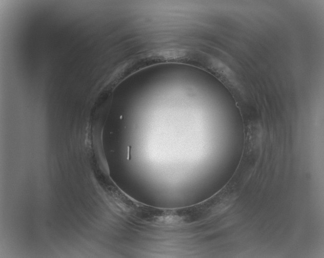 X0000072960212200607282304