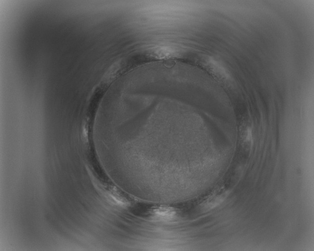 X0000072960214200607282304