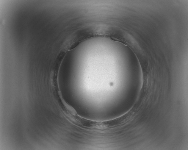 X0000072960217200607282304