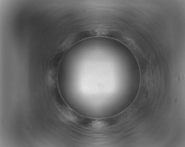 X0000072960218200607282304