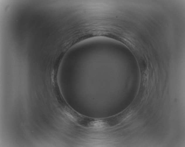 X0000072960219200607282304