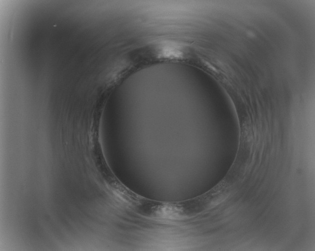 X0000072960223200607282304