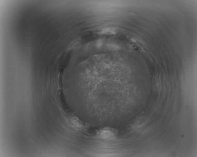 X0000072960224200607282304