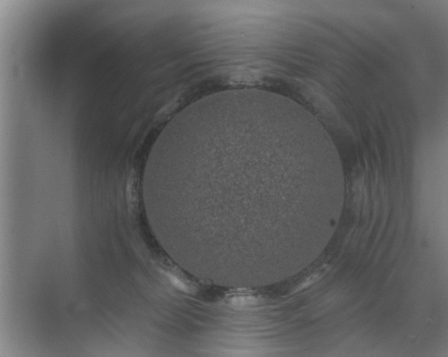 X0000072960228200607282304