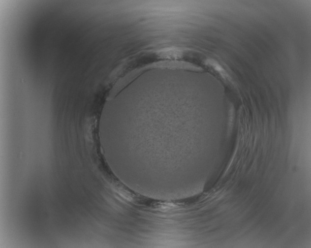 X0000072960229200607282304