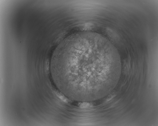 X0000072960230200607282304