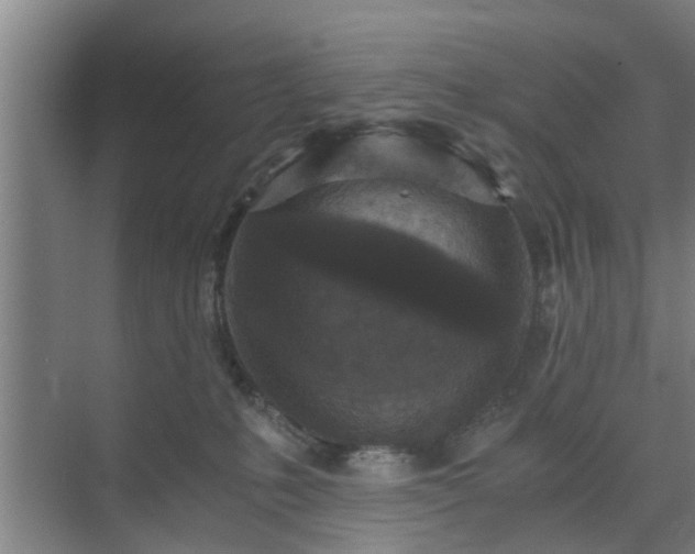 X0000072960231200607282304