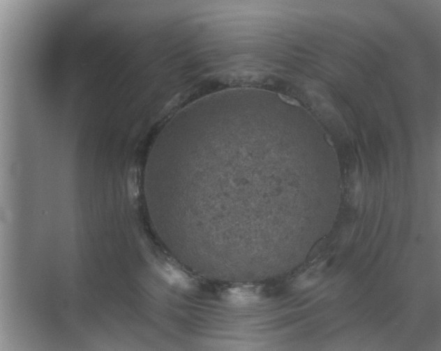 X0000072960232200607282304