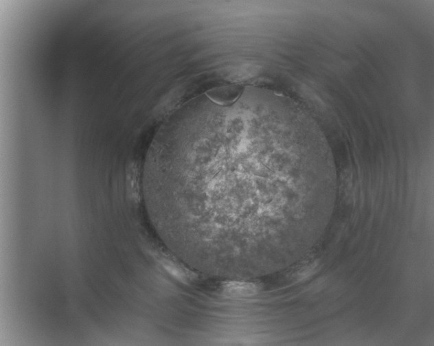 X0000072960234200607282304