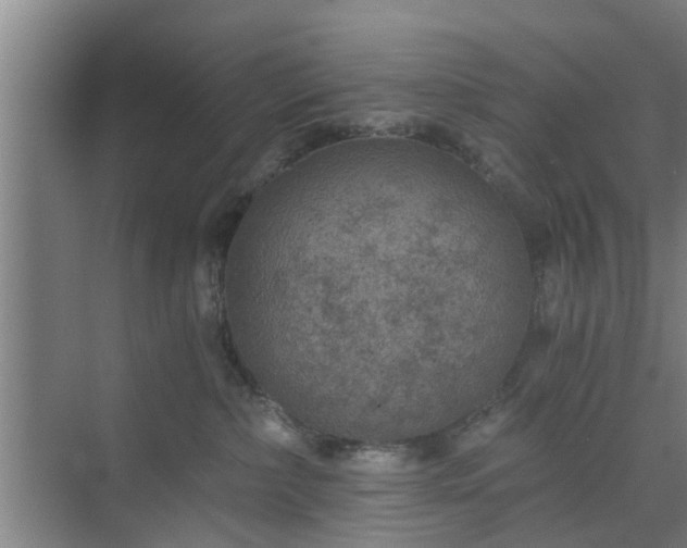 X0000072960236200607282304