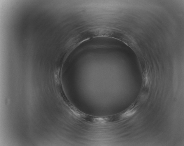 X0000072960239200607282304