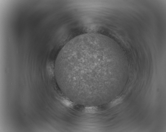 X0000072960240200607282304