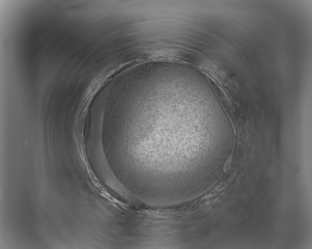 X0000072960241200607282303