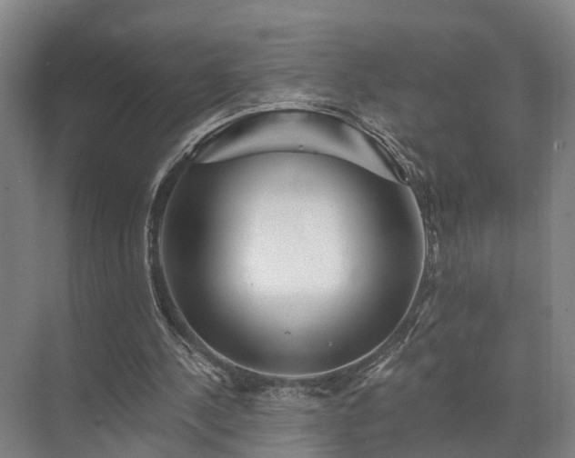 X0000072960244200607282303