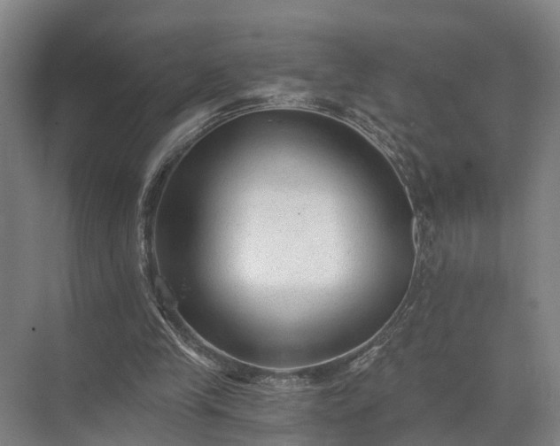 X0000072960245200607282303