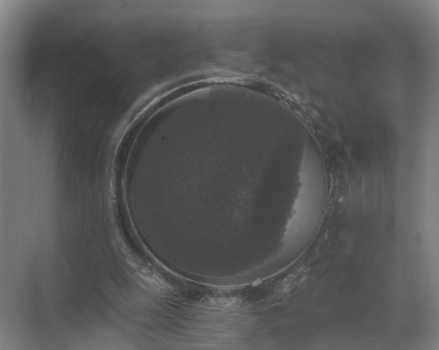 X0000072960247200607282303