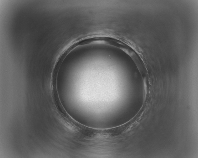 X0000072960248200607282303