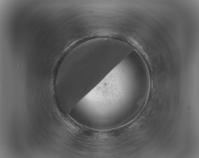 X0000072960249200607282303