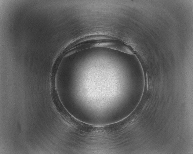 X0000072960252200607282303