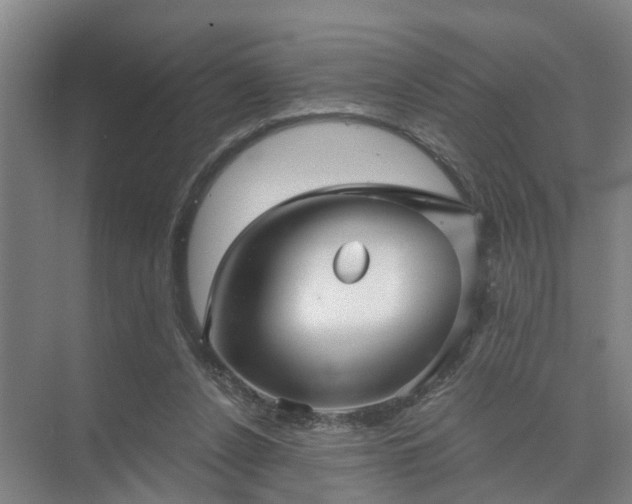 X0000072960256200607282303