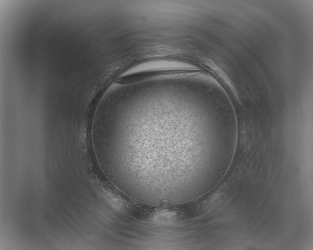 X0000072960257200607282303