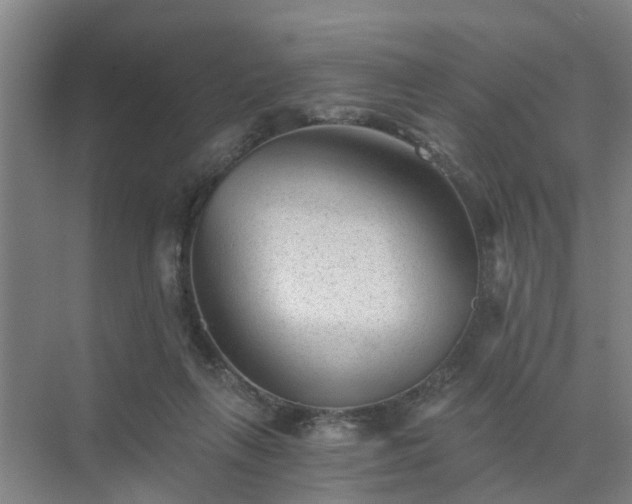 X0000072960263200607282303