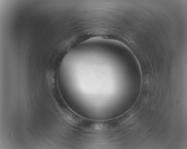 X0000072960264200607282303