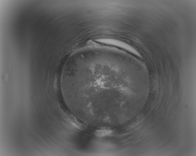 X0000072960266200607282303