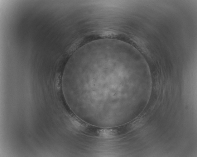 X0000072960273200607282304