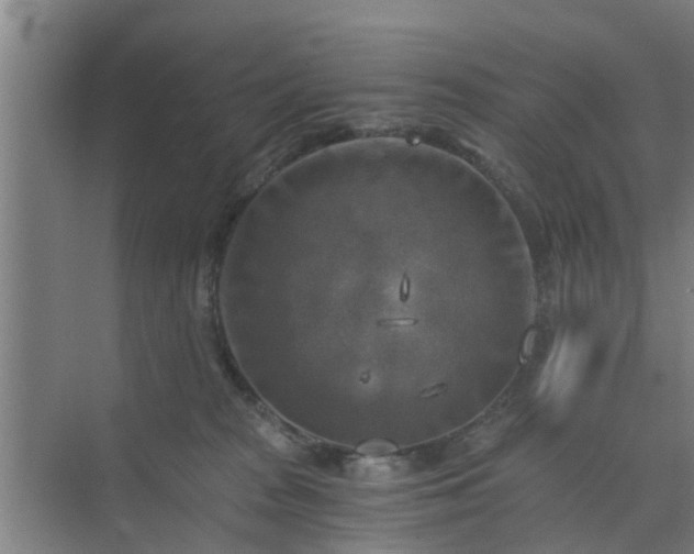 X0000072960277200607282304