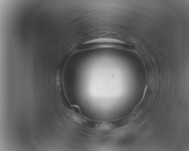 X0000072960282200607282304