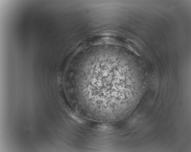 X0000072960284200607282304