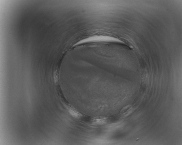 X0000072960285200607282304